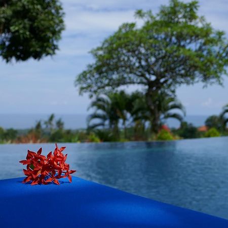 Puri Mangga Sea View Resort And Spa Lovina Eksteriør bilde