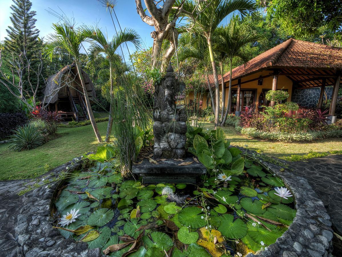 Puri Mangga Sea View Resort And Spa Lovina Eksteriør bilde