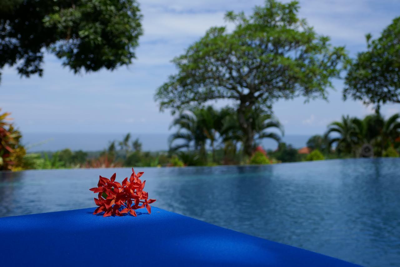 Puri Mangga Sea View Resort And Spa Lovina Eksteriør bilde